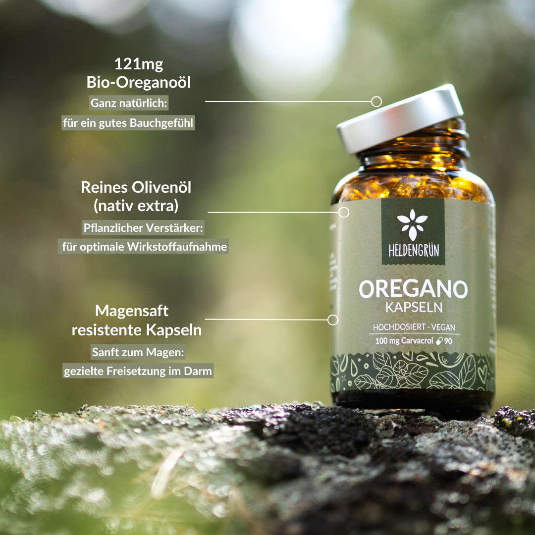 Oregano Kapseln Heldengrün