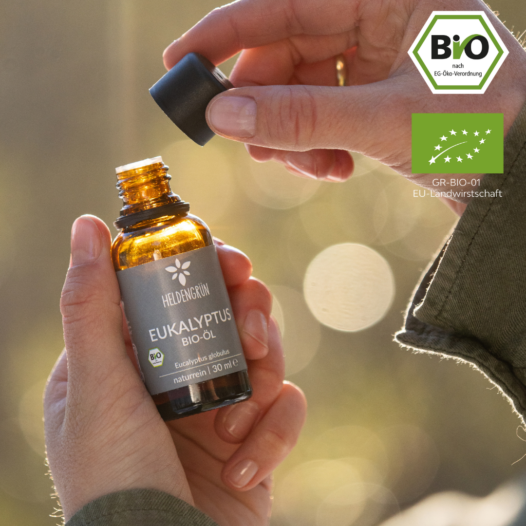 Bio-Eukalyptusöl Duftöle Heldengrün