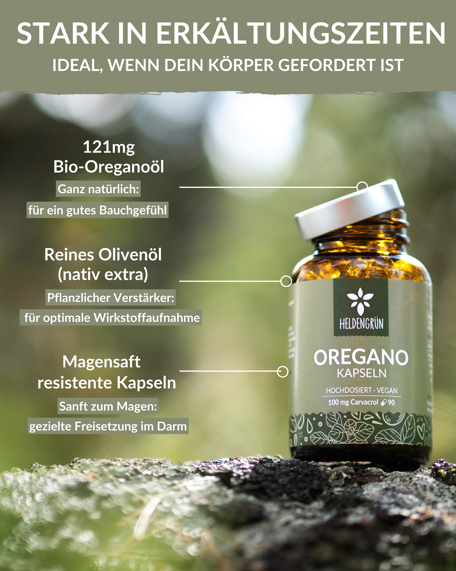 Oregano Kapseln Heldengrün