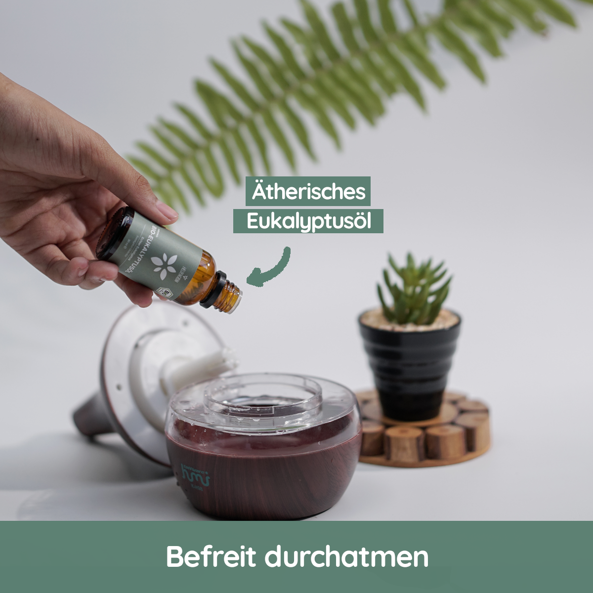 Heldengrün© Ätherisches Öl-Set