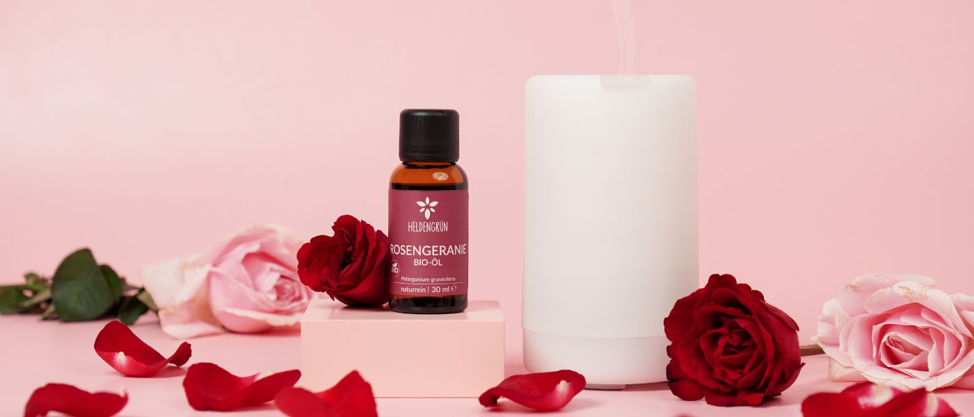 Rosengeranie als Öl » Anwendung in der Aromatherapie ✓