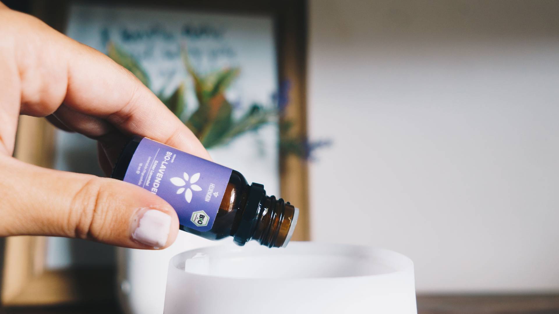 Lavendel in der Duftlampe, das bewirkt das ätherische Öl ✓