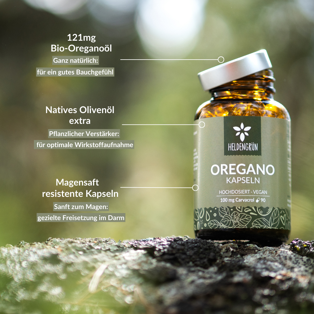 Oregano Kapseln Kapseln Heldengrün