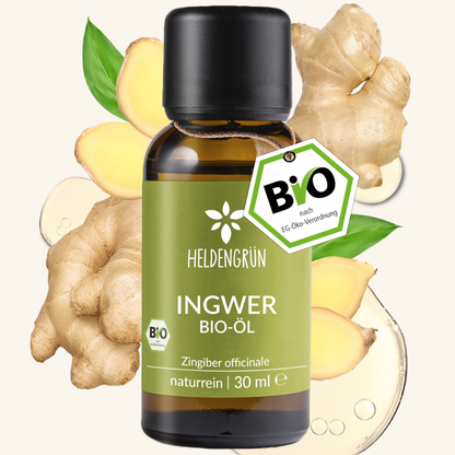Bio Ingweröl Ätherisches Öl Heldengrün