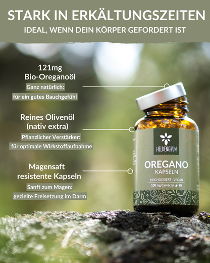Oregano Kapseln Heldengrün
