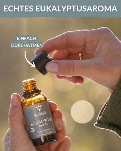 Bio-Eukalyptusöl Duftöle Heldengrün