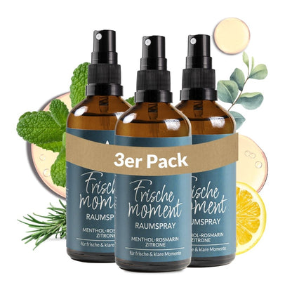Raumspray &quot;Frischemoment&quot; Raumspray Heldengrün