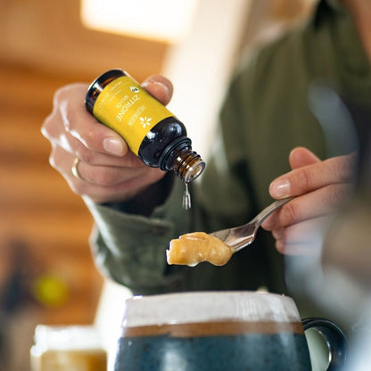 Bestseller Set Heldengrün