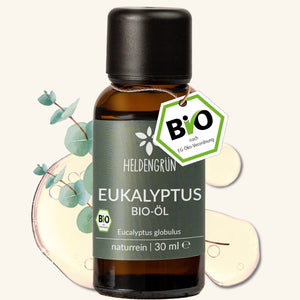 Bio-Eukalyptusöl Ätherisches Öl Heldengrün