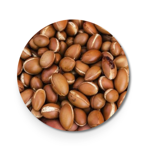 3. Bio-Arganöl